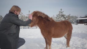I colpi dell'uomo mettono la museruola al piccolo cavallino adorabile ad una fine del ranch su Concetto dell'allevamento di caval archivi video I colpi dell'uomo mettono la museruola al piccolo cavallino adorabile ad una fine del ranch su Concetto dell'allevamento di caval archivi video