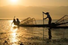 I fermi dei pescatori pescano per alimento nell'alba nel lago Inle immagini stock I fermi dei pescatori pescano per alimento nell'alba nel lago Inle immagini stock