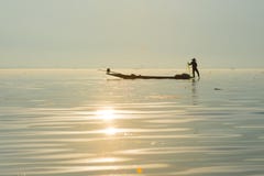 I fermi dei pescatori pescano per alimento nell'alba nel lago Inle immagine stock I fermi dei pescatori pescano per alimento nell'alba nel lago Inle immagine stock