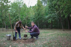I fratelli stanno andando piantare un albero Lavoro della famiglia Processo dell'albero piantato alla foresta fotografia stock I fratelli stanno andando piantare un albero Lavoro della famiglia Processo dell'albero piantato alla foresta fotografia stock