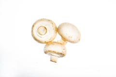 I funghi bianchi su fondo bianco si espandono rapidamente, bianco, il fondo, isolato, il fungo prataiolo, il taglio, mangiare, co fotografia stock I funghi bianchi su fondo bianco si espandono rapidamente, bianco, il fondo, isolato, il fungo prataiolo, il taglio, mangiare, co fotografia stock