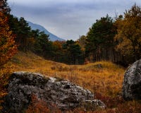 Enchanted autumn wood Royalty Free Stock Image Enchanted autumn wood Royalty Free Stock Image