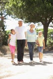 I nonni ed i nipoti sulla campagna dell'estate camminano insieme Immagini Stock Libere da Diritti I nonni ed i nipoti sulla campagna dell'estate camminano insieme Immagini Stock Libere da Diritti