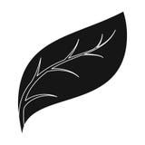 Icône de feuille d'Eco dans le style noir d'isolement sur le fond blanc Illustration bio et d'écologie de symbole d'actions de ve Image stock Icône de feuille d'Eco dans le style noir d'isolement sur le fond blanc Illustration bio et d'écologie de symbole d'actions de ve Image stock