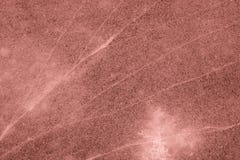 Living Coral color of the Year 2019 on abstract background. stock photography Living Coral color of the Year 2019 on abstract background. stock photography