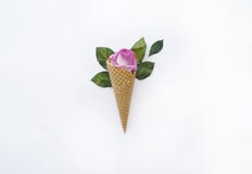 Ice Cream Flower Rose.Spring.Wafer Waffle For Ice Cream And Rose Petals.View From Above. Royalty Free Stock Images