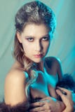Ice queen makeup stock photography Ice queen makeup stock photography