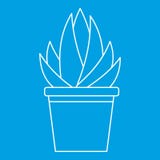 Icona della pianta di humilis dell'aloe, stile del profilo Immagini Stock Libere da Diritti Icona della pianta di humilis dell'aloe, stile del profilo Immagini Stock Libere da Diritti