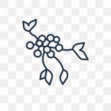 Icona di vettore delle bacche isolata su fondo trasparente, B lineare royalty illustrazione gratis Icona di vettore delle bacche isolata su fondo trasparente, B lineare royalty illustrazione gratis