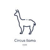 Icona lineare del lama del circo dalla raccolta del profilo del circo Linea sottile vettore del lama del circo isolato su fondo b illustrazione vettoriale Icona lineare del lama del circo dalla raccolta del profilo del circo Linea sottile vettore del lama del circo isolato su fondo b illustrazione vettoriale
