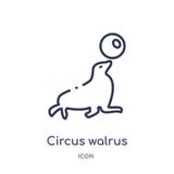 Icona lineare del tricheco del circo dalla raccolta del profilo del circo Linea sottile vettore del tricheco del circo isolato su illustrazione vettoriale Icona lineare del tricheco del circo dalla raccolta del profilo del circo Linea sottile vettore del tricheco del circo isolato su illustrazione vettoriale