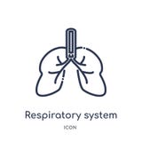 Icona lineare dell'apparato respiratorio dalla raccolta umana del profilo delle parti del corpo Linea sottile icona dell'apparato illustrazione di stock Icona lineare dell'apparato respiratorio dalla raccolta umana del profilo delle parti del corpo Linea sottile icona dell'apparato illustrazione di stock