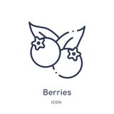 Icona lineare delle bacche dalla raccolta del profilo di frutti Linea sottile icona delle bacche isolata su fondo bianco bacche d illustrazione di stock Icona lineare delle bacche dalla raccolta del profilo di frutti Linea sottile icona delle bacche isolata su fondo bianco bacche d illustrazione di stock