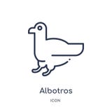 Icona lineare di albotros dalla raccolta del profilo degli animali Linea sottile icona di albotros isolata su fondo bianco albotr illustrazione vettoriale Icona lineare di albotros dalla raccolta del profilo degli animali Linea sottile icona di albotros isolata su fondo bianco albotr illustrazione vettoriale