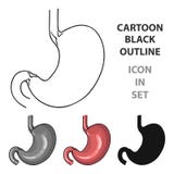 Icona umana dello stomaco dentro isolata su fondo bianco Illustrazione di vettore delle azione di simbolo degli organi umani Immagine Stock Libera da Diritti Icona umana dello stomaco dentro isolata su fondo bianco Illustrazione di vettore delle azione di simbolo degli organi umani Immagine Stock Libera da Diritti