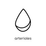 Icono de las arteriolas Ico linear plano moderno de moda de las arteriolas del vector libre illustration Icono de las arteriolas Ico linear plano moderno de moda de las arteriolas del vector libre illustration