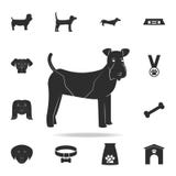 Icono del perro del fox terrier Sistema detallado de iconos de la silueta del perro Diseño gráfico superior Uno de los iconos de ilustración del vector Icono del perro del fox terrier Sistema detallado de iconos de la silueta del perro Diseño gráfico superior Uno de los iconos de ilustración del vector