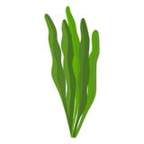 Icono del vector de las algas de Spirulina en el fondo blanco ilustración del vector Icono del vector de las algas de Spirulina en el fondo blanco ilustración del vector