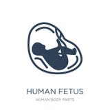 icono humano del feto en estilo de moda del diseño Icono humano del feto aislado en el fondo blanco icono humano del vector del f stock de ilustración icono humano del feto en estilo de moda del diseño Icono humano del feto aislado en el fondo blanco icono humano del vector del f stock de ilustración