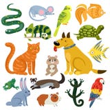 Iconos coloridos de los animales domésticos fijados stock de ilustración Iconos coloridos de los animales domésticos fijados stock de ilustración