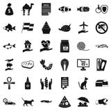 Iconos fijados, estilo simple del gato nacional ilustración del vector Iconos fijados, estilo simple del gato nacional ilustración del vector