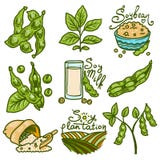 Iconos sistema, estilo exhausto de la soja de la mano stock de ilustración Iconos sistema, estilo exhausto de la soja de la mano stock de ilustración