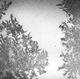 Icy stains on the glass as a background Royalty Free Stock Image Icy stains on the glass as a background Royalty Free Stock Image