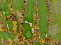 Ideia aérea de um campo de golfe imagens de stock Ideia aérea de um campo de golfe imagens de stock