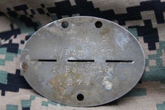 Identyfikacja fascist żołnierze od drugiej wojny światowej z grawerującymi symbolami zdjęcia stock Identyfikacja fascist żołnierze od drugiej wojny światowej z grawerującymi symbolami zdjęcia stock