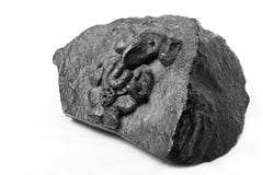 Idol von Lord ganesha Lizenzfreie Stockfotos Idol von Lord ganesha Lizenzfreie Stockfotos