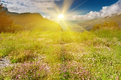 Idyllic Alpine scene in sun rays stock image Idyllic Alpine scene in sun rays stock image