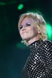 Ierse musicus Dolores O'Riordan royalty-vrije stock afbeelding Ierse musicus Dolores O'Riordan royalty-vrije stock afbeelding
