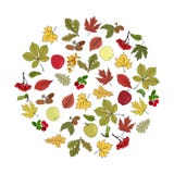Ik houd van u De hand geschreven moderne kalligrafie van de borstelkleur stock illustratie Ik houd van u De hand geschreven moderne kalligrafie van de borstelkleur stock illustratie