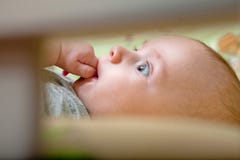 Il bambino risiede in una greppia e si siede un dito Il bambino felice recentemente ha dormito in sua greppia immagini stock libere da diritti Il bambino risiede in una greppia e si siede un dito Il bambino felice recentemente ha dormito in sua greppia immagini stock libere da diritti