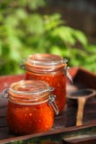 Il barattolo della casa ha prodotto la salsa piccante classica del pomodoro fotografia stock libera da diritti Il barattolo della casa ha prodotto la salsa piccante classica del pomodoro fotografia stock libera da diritti