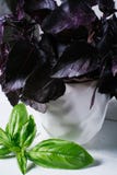 Il basilico verde va su fondo del muro di mattoni bianco, alimento di erbe sano fresco sul tavolo da cucina, derisione dello spaz fotografia stock Il basilico verde va su fondo del muro di mattoni bianco, alimento di erbe sano fresco sul tavolo da cucina, derisione dello spaz fotografia stock