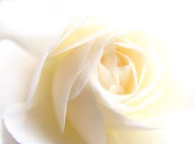il bianco è aumentato il bianco è aumentato