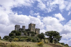 Il castello del Rio di Almodovar nella provincia di Cordova, Andalusia fotografie stock Il castello del Rio di Almodovar nella provincia di Cordova, Andalusia fotografie stock