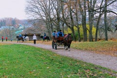 Il cavallo cammina nel parco nella proprietà del conteggio Leo Tolstoy in Yasnaya Polyana nell'ottobre 2017 fotografie stock Il cavallo cammina nel parco nella proprietà del conteggio Leo Tolstoy in Yasnaya Polyana nell'ottobre 2017 fotografie stock