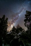 Il centro della galassia della Via Lattea fra i pini nella foresta scura di inverno con neve fotografia stock Il centro della galassia della Via Lattea fra i pini nella foresta scura di inverno con neve fotografia stock