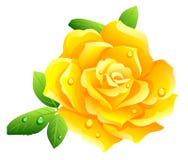 Il colore giallo è aumentato Il colore giallo è aumentato