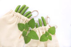 Il concetto residuo zero, l'acquisto di plastica riutilizzabile delle borse del cotone gratis, piselli, conserva il pianeta, la v fotografia stock Il concetto residuo zero, l'acquisto di plastica riutilizzabile delle borse del cotone gratis, piselli, conserva il pianeta, la v fotografia stock