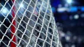 Il disco di hockey vola nella rete su uno stadio delle luci del blu Il movimento all'inizio poi è accelerato lentamente Il disco di hockey vola nella rete su uno stadio delle luci del blu Il movimento all'inizio poi è accelerato lentamente