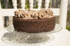 Il dolce di TChocolate decora con i grandi riccioli di cioccolato raso confinato con panna montata fotografia stock libera da diritti Il dolce di TChocolate decora con i grandi riccioli di cioccolato raso confinato con panna montata fotografia stock libera da diritti