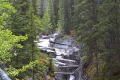 Il fiume, le rocce e gli alberi immagini stock Il fiume, le rocce e gli alberi immagini stock