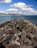 Il frangiflutti a Lyme Regis, Dorset fotografie stock libere da diritti Il frangiflutti a Lyme Regis, Dorset fotografie stock libere da diritti