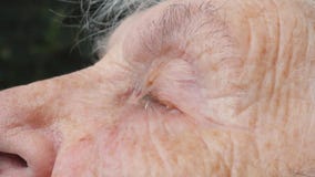 Il fronte alto vicino della donna anziana triste con le grinze profonde sta gridando Ritratto della nonna infelice Vero piangere stock footage Il fronte alto vicino della donna anziana triste con le grinze profonde sta gridando Ritratto della nonna infelice Vero piangere stock footage