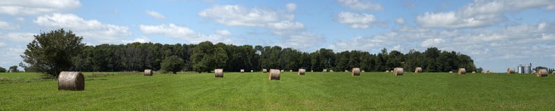 Il giacimento del fieno imballa il panorama dello sbarco dell'azienda agricola, bandiera fotografia stock Il giacimento del fieno imballa il panorama dello sbarco dell'azienda agricola, bandiera fotografia stock