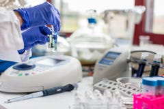 Il giovane scienziato femminile lavora nel laboratorio moderno biologia/di chimica Fotografia Stock Il giovane scienziato femminile lavora nel laboratorio moderno biologia/di chimica Fotografia Stock