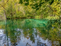 Il lago con acqua del turchese nella foresta di caduta fotografia stock Il lago con acqua del turchese nella foresta di caduta fotografia stock